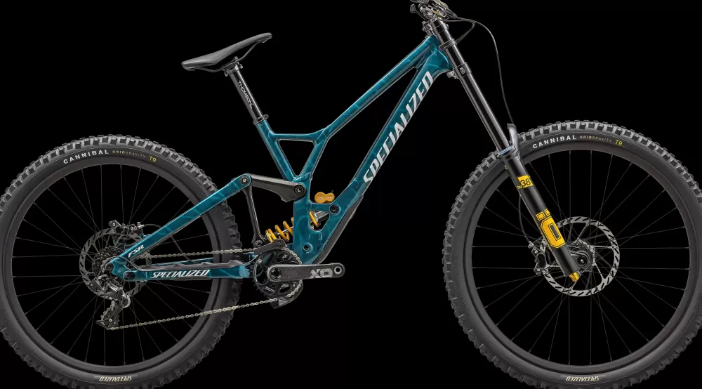 Specialized Mountainbikes | Demo Race 2025 - Blå GLOSS TEAL TINT/ WHITE